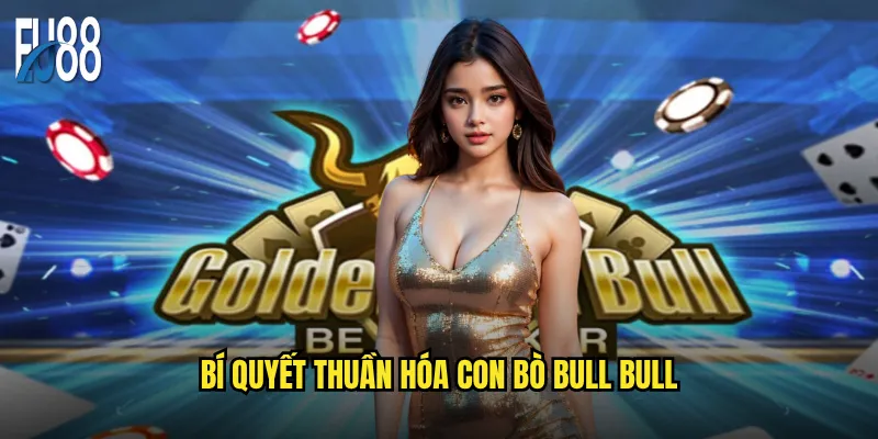 Bí quyết thuần hóa con bò Bull Bull